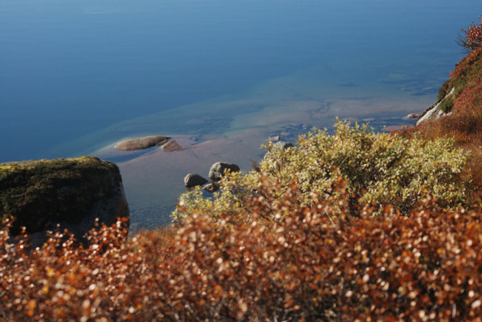 Rosskreppfjorden og Gausdal_rype_jakte (15)_corrected