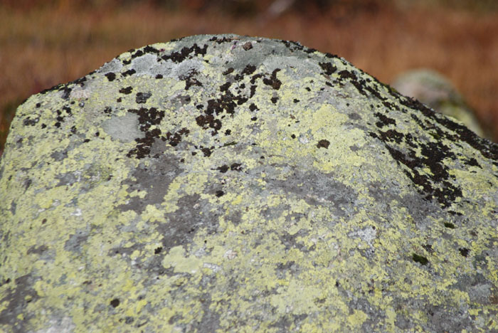 Rosskreppfjorden og Gausdal_rype_jakte (22)