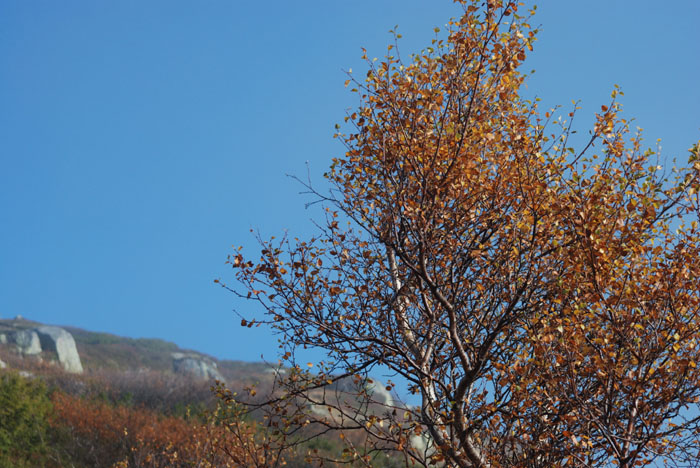 Rosskreppfjorden og Gausdal_rype_jakte 2